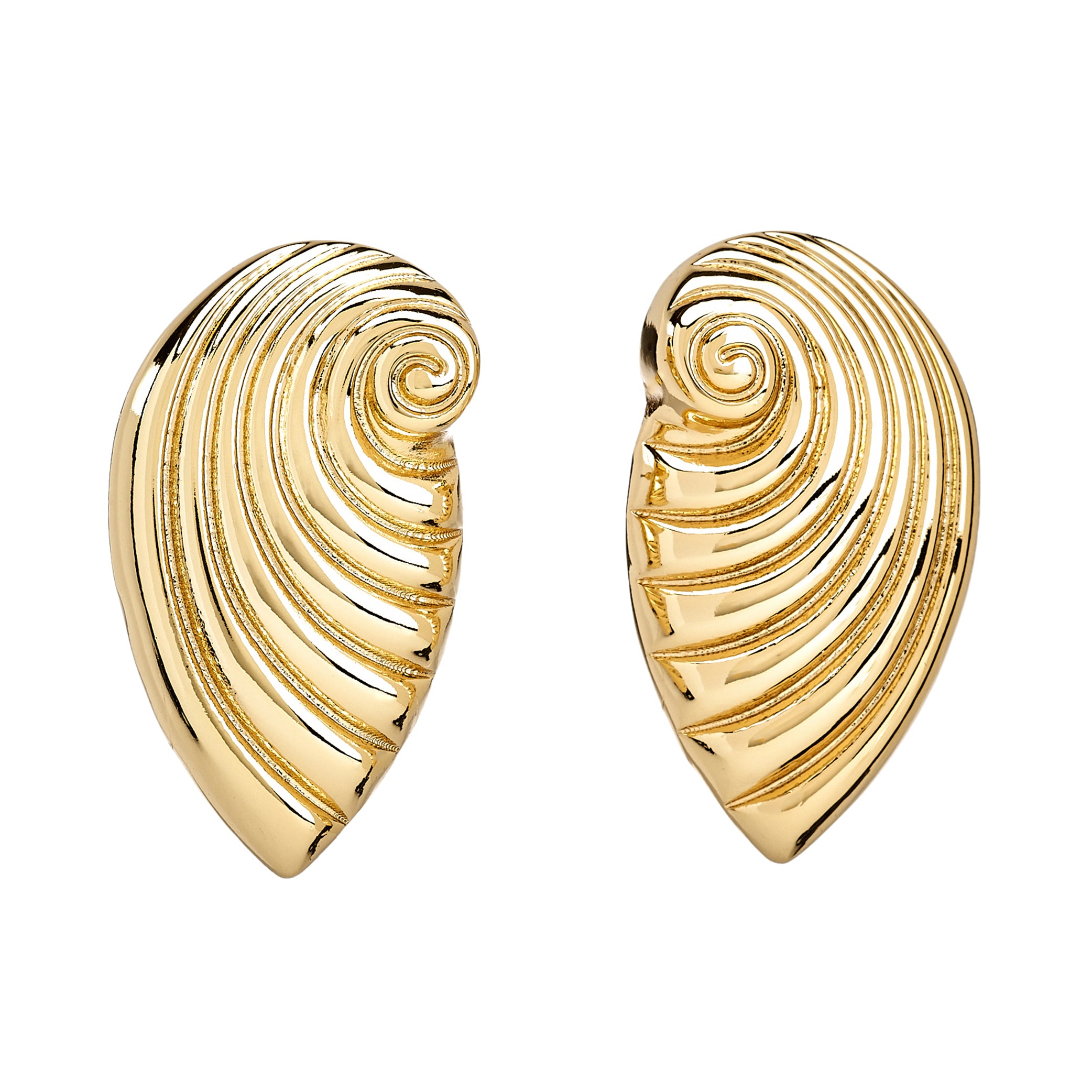 Ribbed Seashell Pierced Earrings