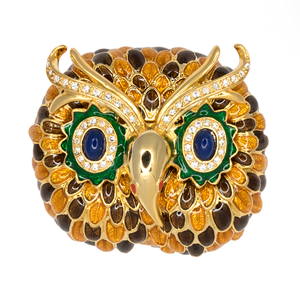 Henri bendel store Hazels eyes owl pin brooch