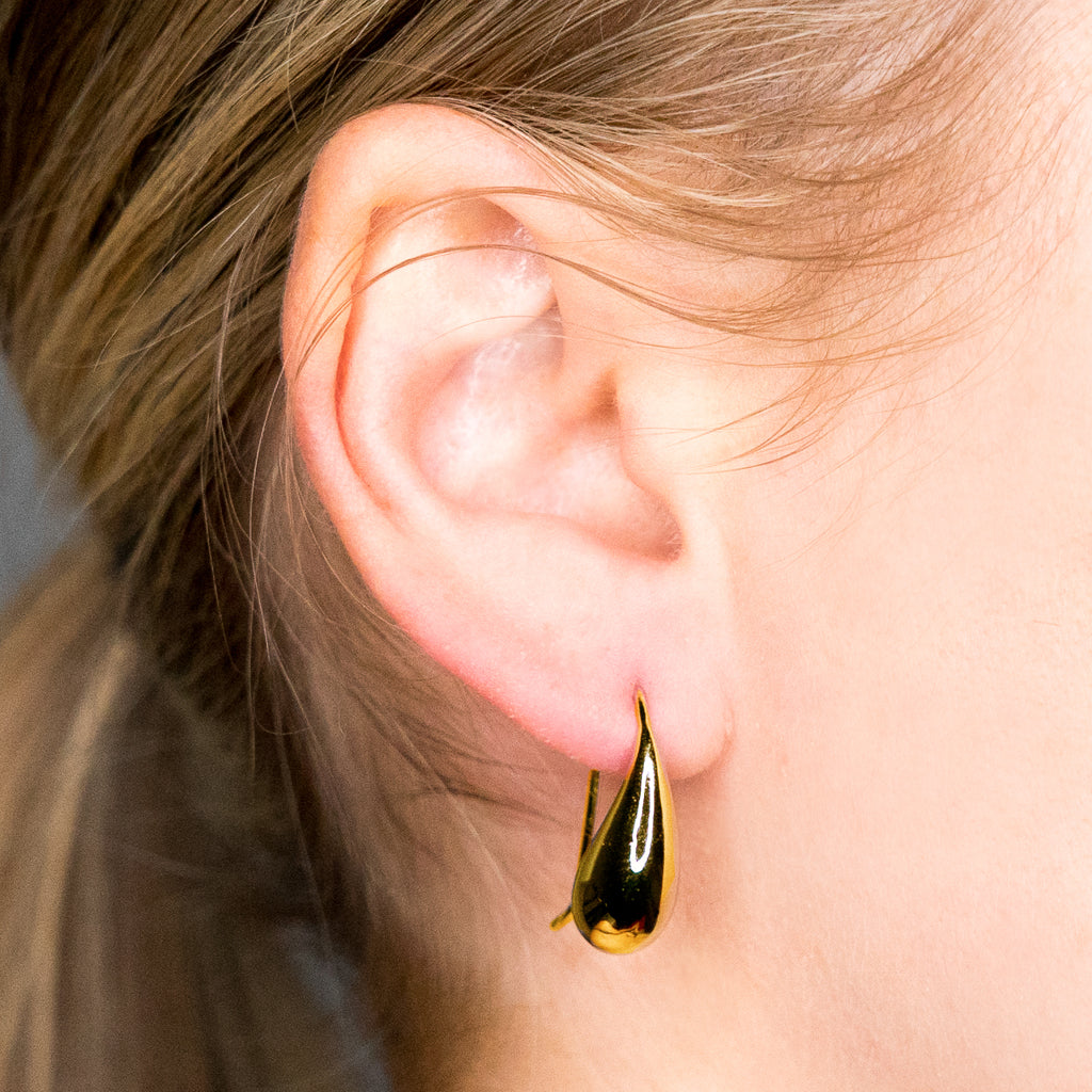 Polished Gold Fish Hook Pierced Earrings